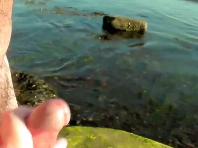 Big Fish In A Little  Pond Video (Mandy Dee, Kitty Gold)